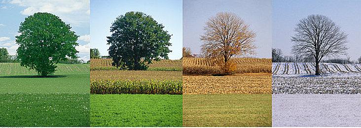 《寂静岭2：重制版》发售准备工作已经开始